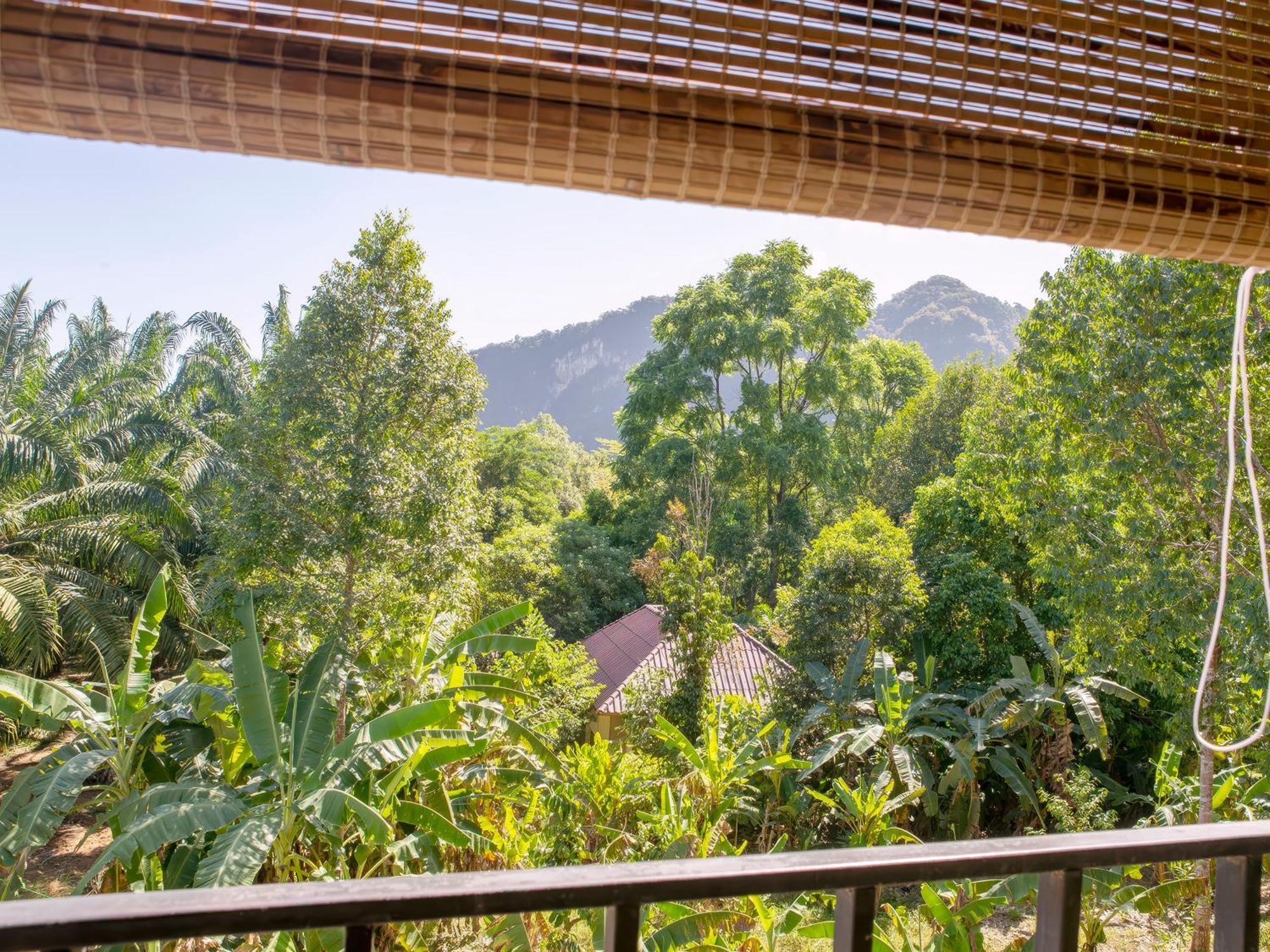 Coco Khao Sok Hostel Khao Sok National Park Zewnętrze zdjęcie